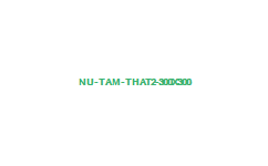nu-tam-that2