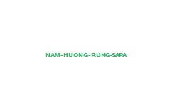 nam-huong-rung-sapa